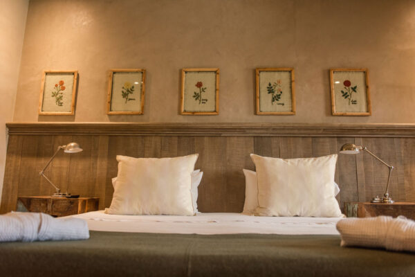 classic2020-5 classic2020-5