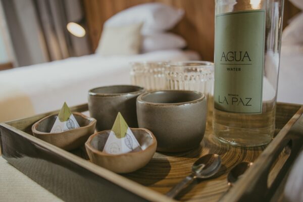 entre_pircas9 entre_pircas9