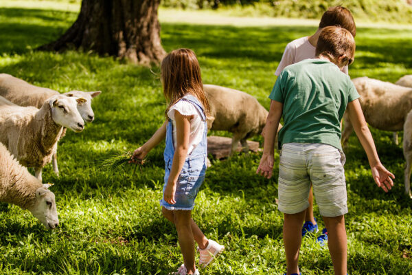 reserva_natural10 reserva_natural10