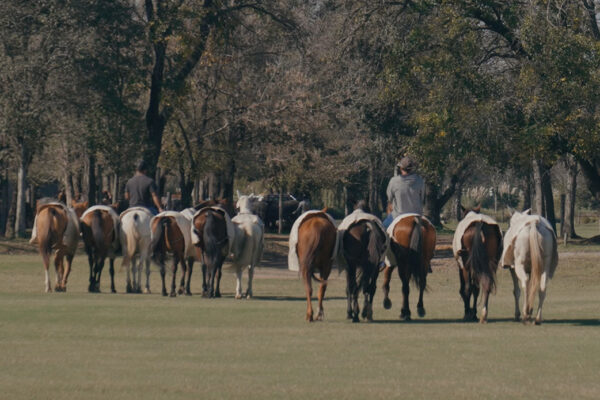 reserva_natural14 reserva_natural14