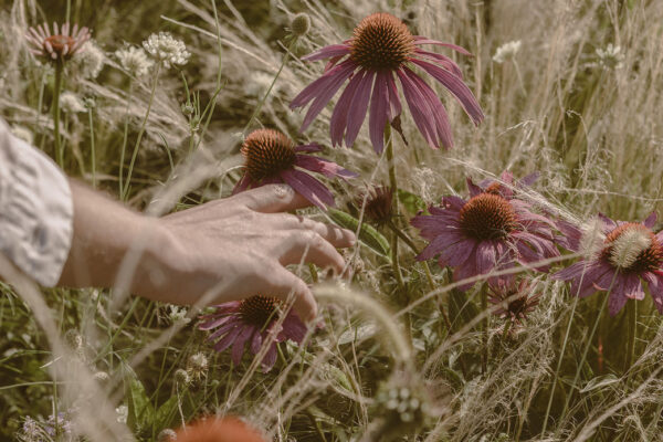 reserva_natural4 reserva_natural4