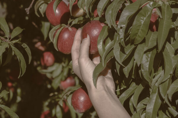 reserva_natural5 reserva_natural5