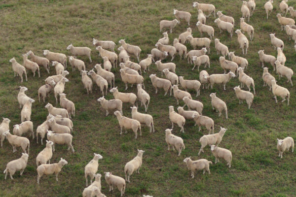 reserva_natural6 reserva_natural6