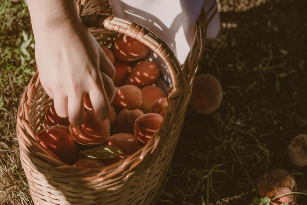 reserva_natural7 reserva_natural7